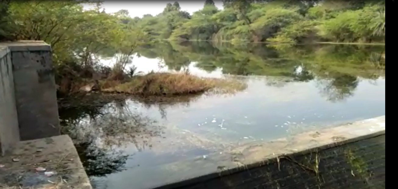 video: बर्ड विलेज मेनार के बाद अब आसपास के इलाके के तालाब को भी संरक्षित करने आगे आ रहे ग्रामीण, उनकी पहल है सराहनीय