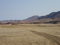 This big institution has some kind of mysteries