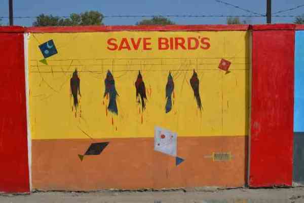 Recreating Art in Kota