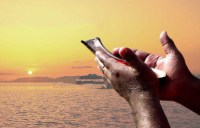 mauni amavasya ke upay