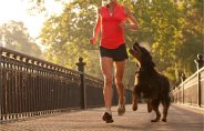 fitness of pet