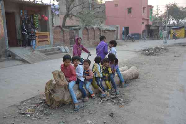 photos of children playing on trees tunk