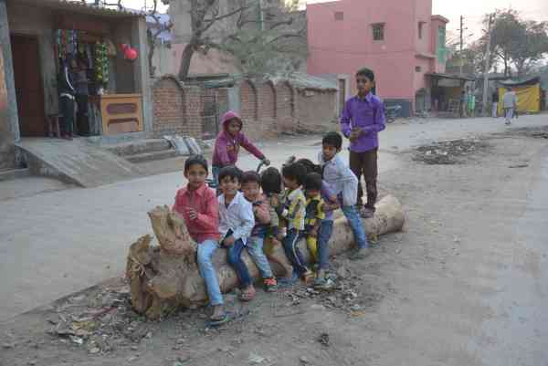 photos of children playing on trees tunk