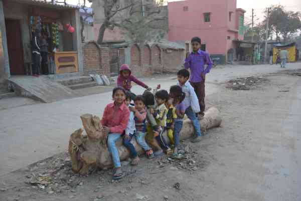 photos of children playing on trees tunk