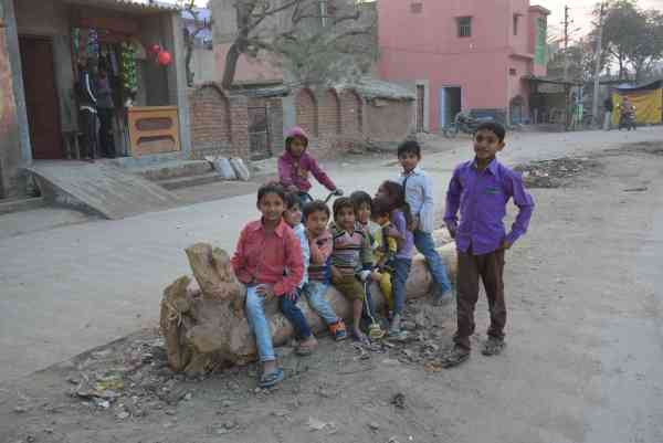 photos of children playing on trees tunk