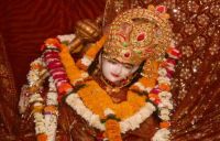 basant panchami: bagulamukhi mata patotsav today