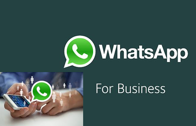 अब आपके बिजनेस को लगेंगे पंख! Whatsapp Business App लॉन्च, ऐसे करें यूज
