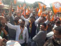 nagriya nikay chunav result live news MP