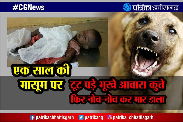 Stray dogs killed 1 year old girl