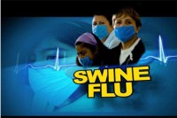  Swine flu in Rajasthan, Swine flu patients in Jaipur, Death poll from Swine flu