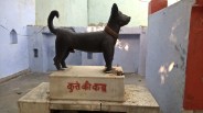 grave of dog