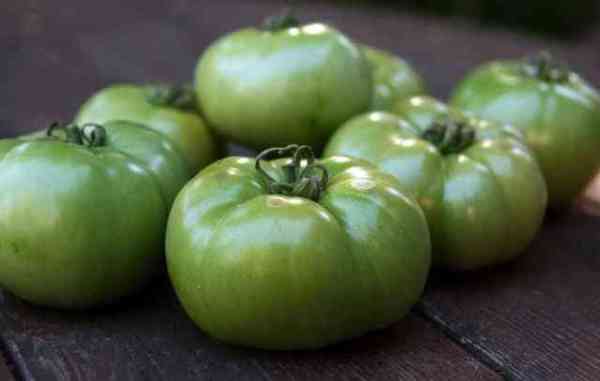 red tomatoes