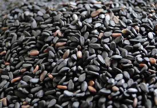Black sesame