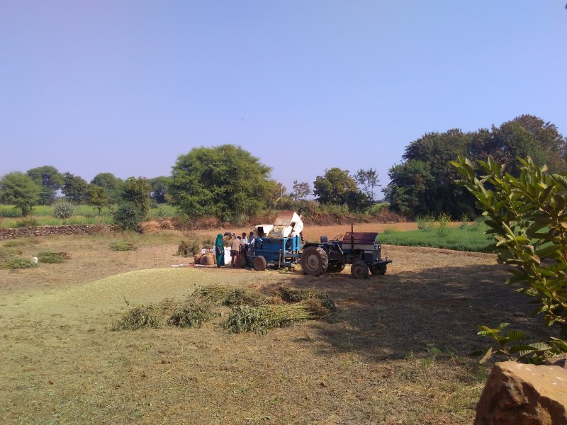Start harvesting gram crop by harvesting