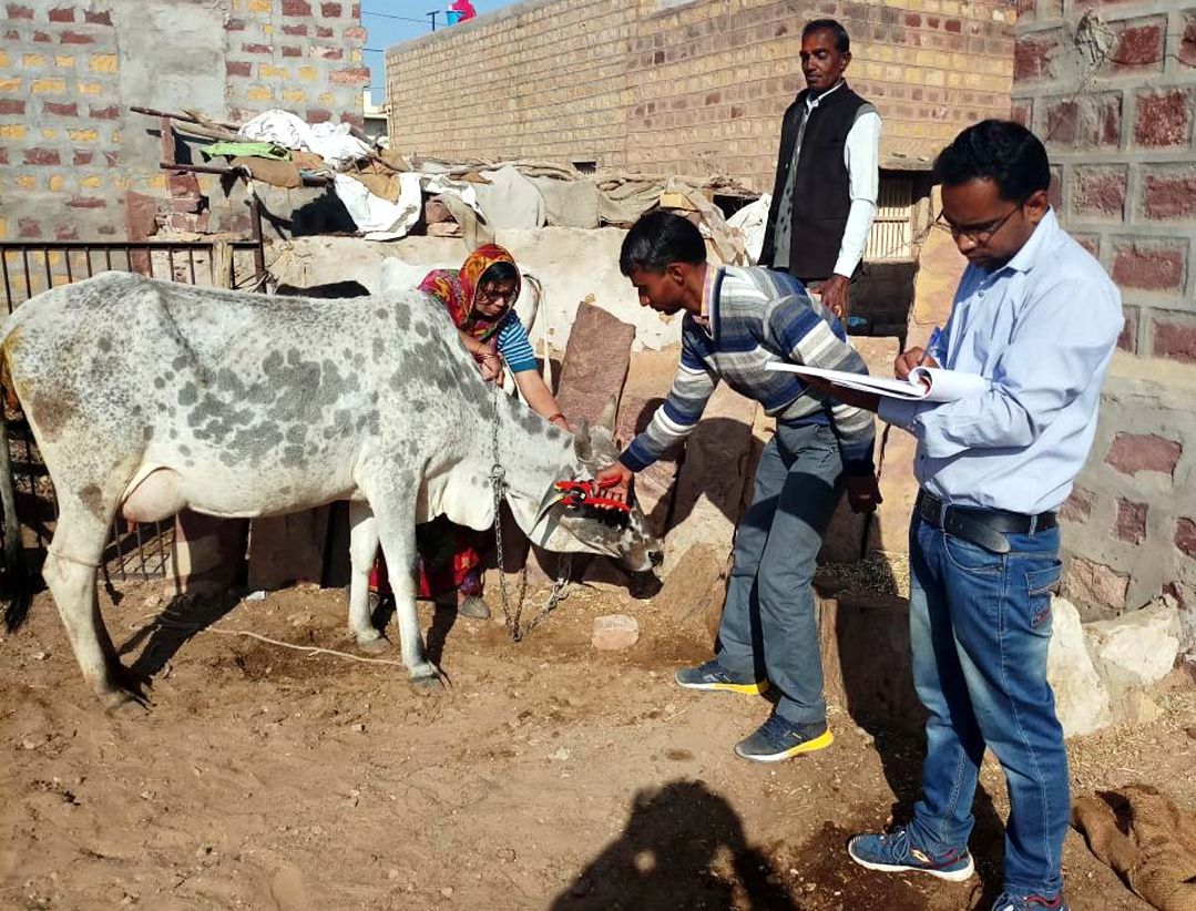 Jaisalmer patrika