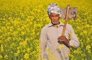 Farmer