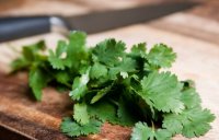 Benefits of Coriander