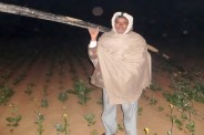 farmer in field