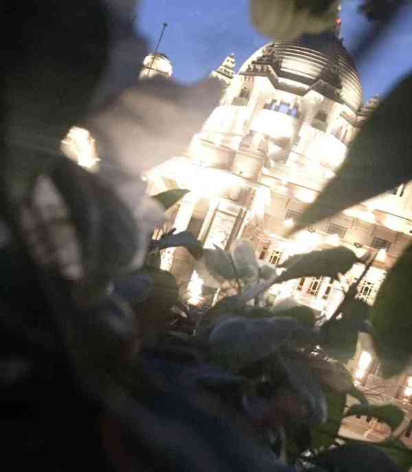 Ummed Palace Beautiful Pictures