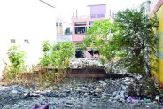 Cleanliness Survey: Top 5 Cities in the Country