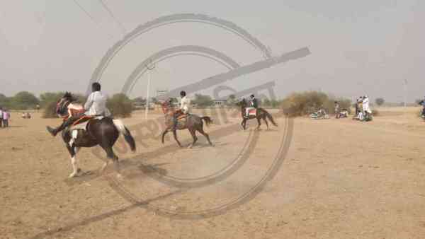 mele-me-umade-shridhalu