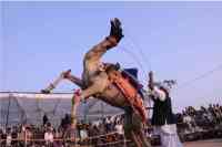 Nagaur Ramdev Pashu Mela 2018