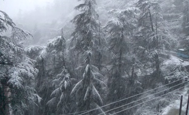 Fresh Snowfall in Shimla