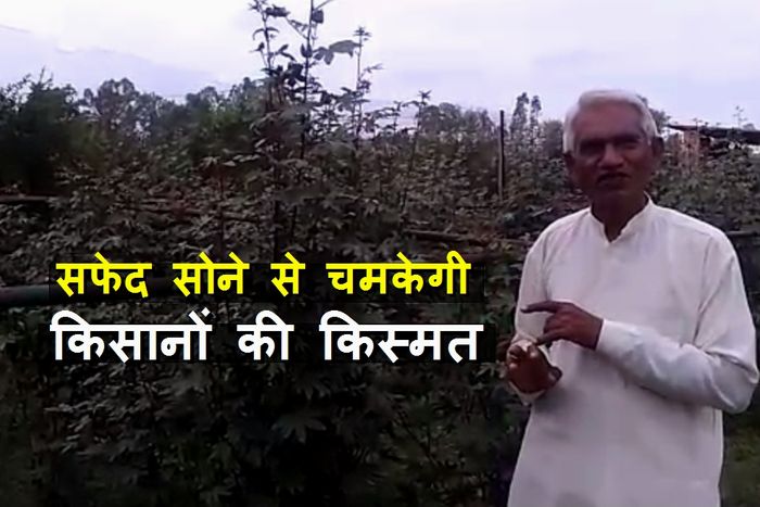sikar kisan