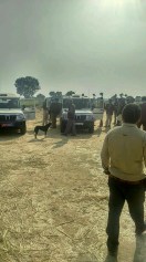 rape and kidnapping in rewa