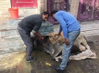 meerut