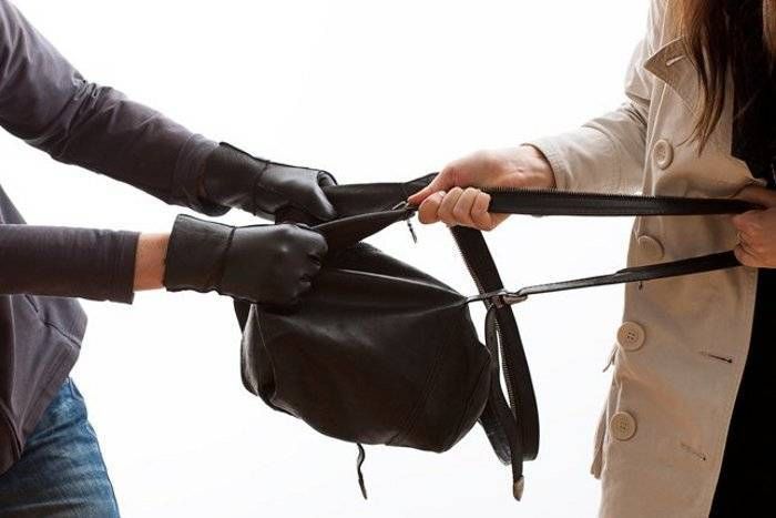 Purses Snatching