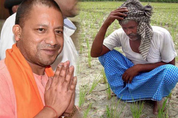 Farmer and Yogi