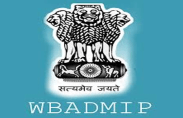 wbadmip