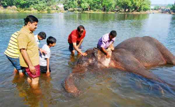 photos,Karnatak news,