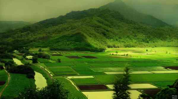 photos,Karnatak news,