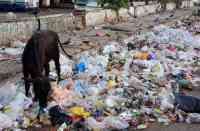 festoon put on shopkeepers who making road dirty