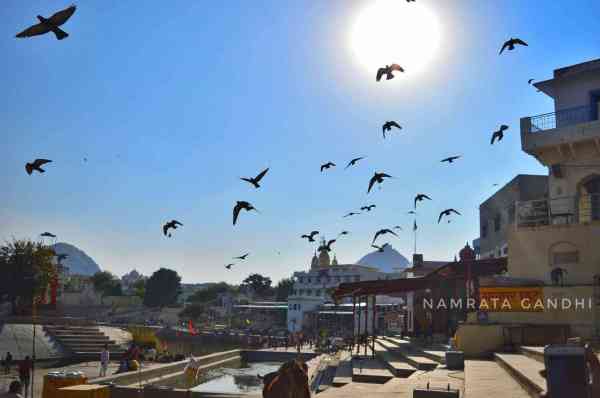 beautiful pics of ajmer and pushkar