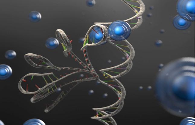 Career In Biophysics