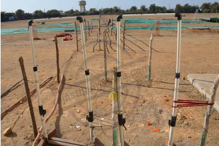 Bhilwara, bhilwara news, Mandalgarh Assembly sub election in bhilwara, Latest news in bhilwara, Bhilwara News in hindi, Hindi News in bhilwara, Latest hindi news in bhilwara