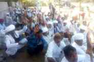 Jodhpur,hindi news,jodhpur news,kissan news,basni,dhundhada,