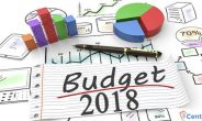budget