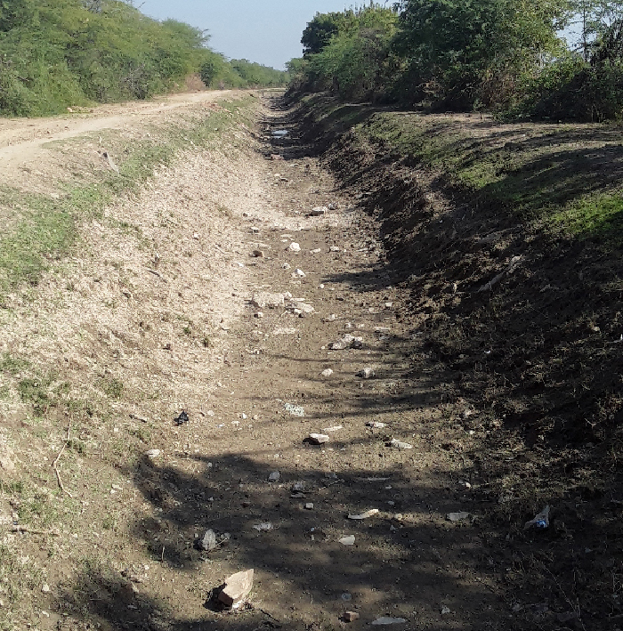 Drawing like this did not even happen in five months know how