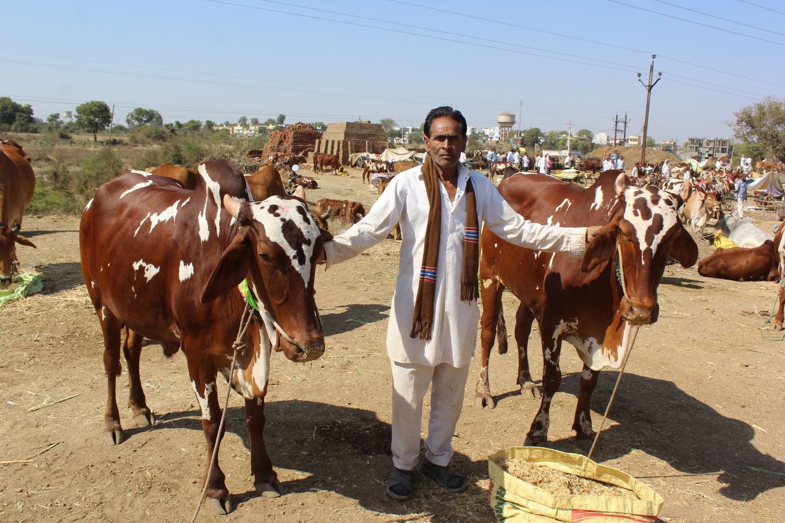 Khargone Navagraha Mela organized in the top most festival of MP