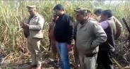 moradabad