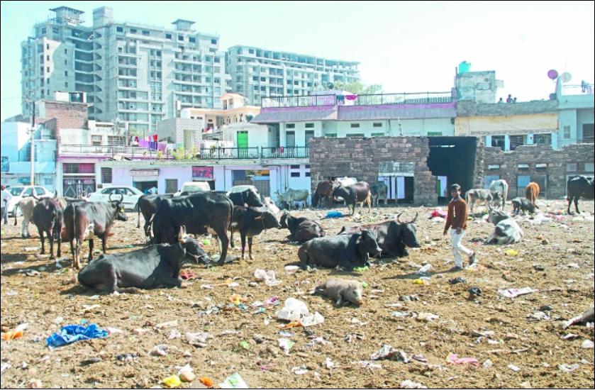 नंदा की बाडी 