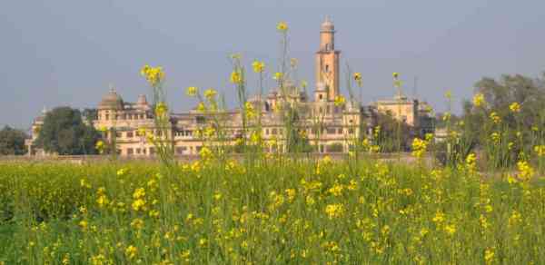 photos of farming at vijay mandir dam in alwar