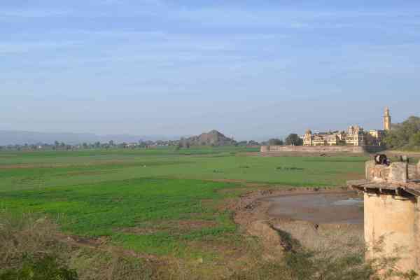 photos of farming at vijay mandir dam in alwar