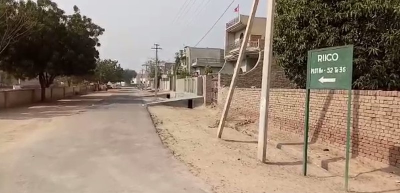 clean and green india