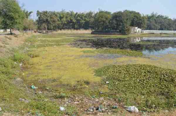 See the most beautiful spots in the city of Damoh