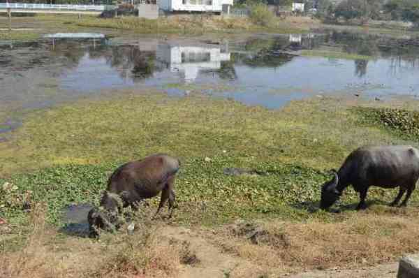 See the most beautiful spots in the city of Damoh